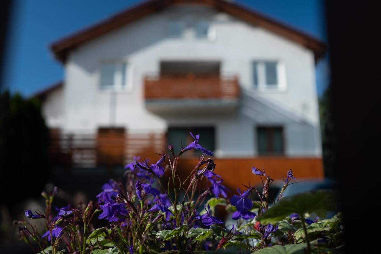 Apartamenty Karkonosze Góry Izerskie Piechowice  Exterior foto